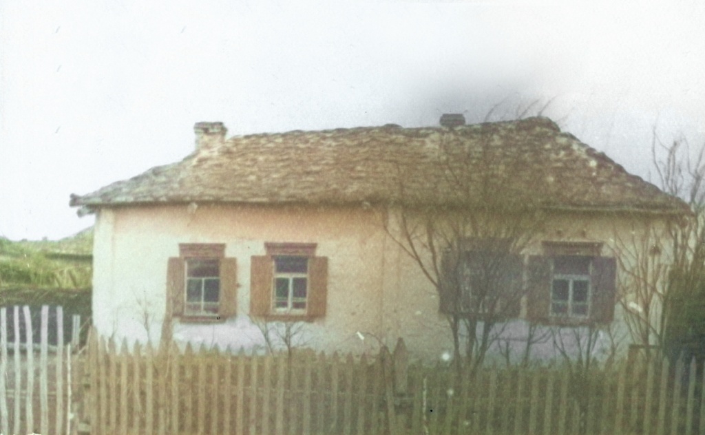 Старожильческий дом (2).jpg